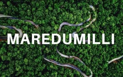 Maredumilli - Forest Tourism in East Godavari